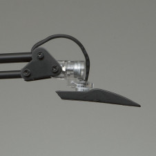 ľǥɡZ-LIGHTZ-10Båȥ饤ȡ꡼