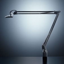 ľǥɡZ-LIGHTZ-10Båȥ饤ȡ꡼