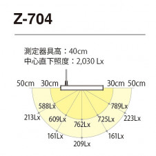 ľǥɡZ-LIGHTZ-704Båȥ饤ȡ꡼