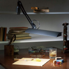 ľǥɡZ-LIGHTZ-704Båȥ饤ȡ꡼