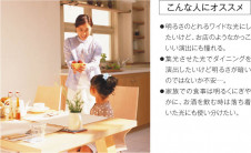 �������߾��� KOIZUMI �ڥ����� LED AP41911L ��������