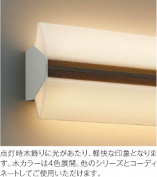 �������߾��� KOIZUMI �֥饱�å� LED AB39559L ��ħ�̿�