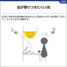 �������߾��� KOIZUMI ������ LED AD37488L ��������