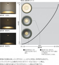 �������߾��� KOIZUMI �ڥ����� LED AP40784L ��������