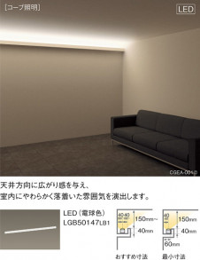 PANASONIC �ѥʥ��˥å� ���۲����� LGB50136LB1 �̿�6