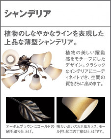 Panasonic LED �����ǥꥢ LGB57683 �̿�3