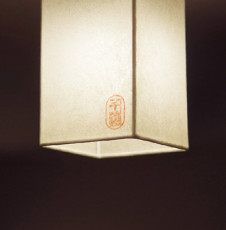 Panasonic LED ������󥰥饤�� LGB58083 �̿�2