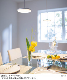 Panasonic LED �ڥ����ȥ饤�� LGB15230LE1 �̿�2