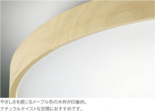 �������߾��� KOIZUMI ������� LED���ŵ忧��������� AH45389L �̿�1