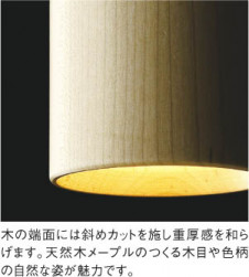 ߾ KOIZUMI ڥ LEDŵ忧 AP40507L ̿1