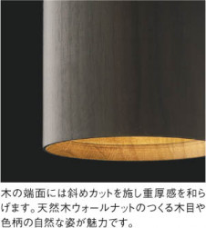 �������߾��� KOIZUMI �ڥ����� LED���ŵ忧�� AP40508L �̿�1