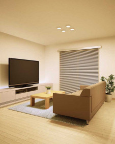 ODELIC ǥå Ѵܾ OL251949 ܹ