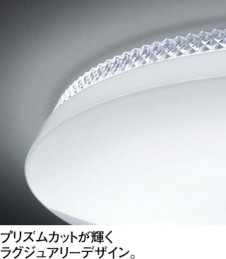 ODELIC ǥå 󥰥饤 OL291004BC ħ