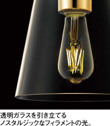 ODELIC �����ǥ�å� �ڥ����ȥ饤�� OP252416LD ��ħ����