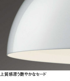 ODELIC �����ǥ�å� �ڥ����ȥ饤�� OP252518PC ��ħ����