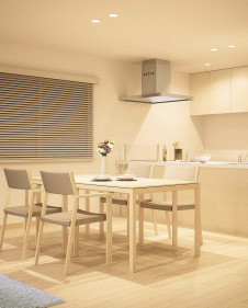 ODELIC �����ǥ�å� ������饤�� OD261624 �ܹ������