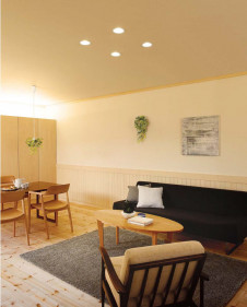 ODELIC �����ǥ�å� ������饤�� OD261324 �ܹ������