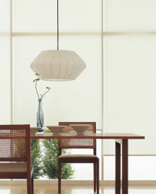 ODELIC �����ǥ�å� �ڥ����ȥ饤�� OP052112LD �ܹ������