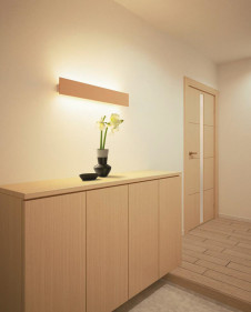 ODELIC �����ǥ�å� �֥饱�å� OB255115 �ܹ������