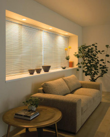 ODELIC �����ǥ�å� ������饤�� OD261017 �ܹ������