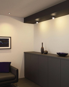 ODELIC �����ǥ�å� ����������󥰥饤�� OL251300 �ܹ������