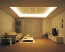 ODELIC ǥå Ѵܾ OL251370 ܹ