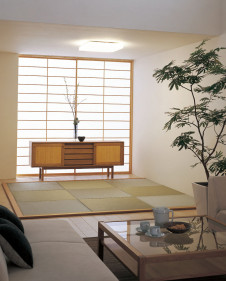 ODELIC ǥå 󥰥饤 OL251415 ܹ