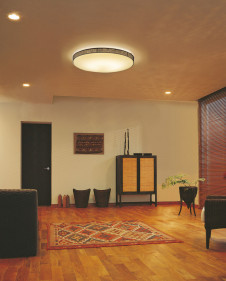 ODELIC �����ǥ�å� ������󥰥饤�� OL251846 �ܹ������