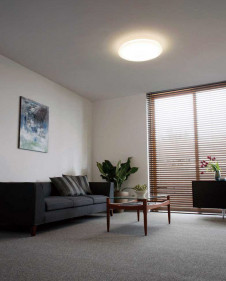 ODELIC �����ǥ�å� ������󥰥饤�� OL291005 �ܹ������