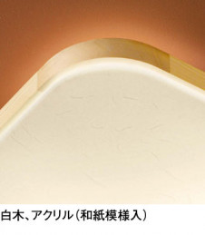 ODELIC �����ǥ�å� ������󥰥饤�� OL291021N ��ħ����