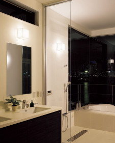 ODELIC �����ǥ�å� �Х��롼��饤�� OW009401LD �ܹ������