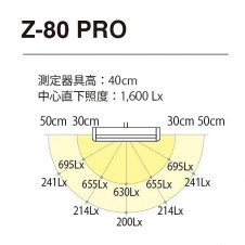 ���ľ��� �ǥ���������� Z-LIGHT Z-80PROB �̿�2