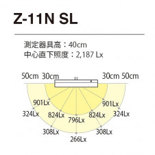 ���ľ��� �ǥ���������� Z-LIGHT Z-11NSL �̿�2