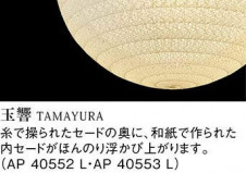 �������߾��� KOIZUMI LED �ڥ����� AP40553L �̿�1