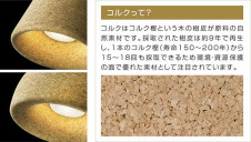 �������߾��� KOIZUMI LED �ڥ����� AP41313L �̿�1