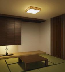 �ܹ����DAIKO ����ŵ� LED ����Ĵ��������� DCL-38718