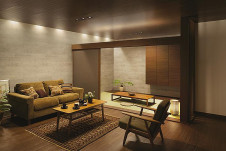 �ܹ����DAIKO ����ŵ� LED ������饤��(��������) DDL-5112YB