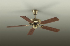 ���ͼ̿���DAIKO ����ŵ� ������󥰥ե������� DP-35202F