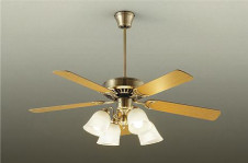 ���ͼ̿���DAIKO ����ŵ� ������󥰥ե������� DP-35202F