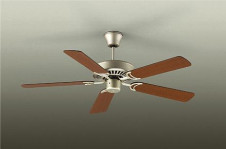 ���ͼ̿���DAIKO ����ŵ� ������󥰥ե������� DP-35203F