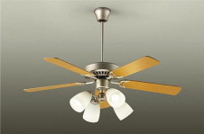 ���ͼ̿���DAIKO ����ŵ� ������󥰥ե������� DP-35203F