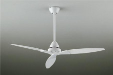 ���ͼ̿���DAIKO ����ŵ� ������󥰥ե��� DP-38025