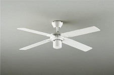 ���ͼ̿���DAIKO ����ŵ� ������󥰥ե�������Ρ� DP-38028