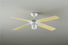 ���ͼ̿���DAIKO ����ŵ� ������󥰥ե�������Ρ� DP-38028