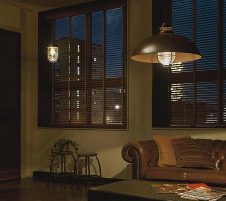 �ܹ����DAIKO ����ŵ� LED �ڥ����� DPN-40151Y