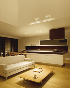 �ܹ����DAIKO ����ŵ� LED ���ݥåȥ饤�� DSL-3661YWF