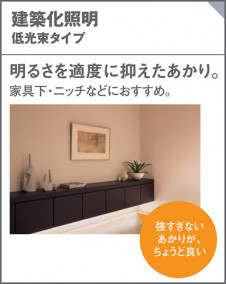 Panasonic LED ֥饱å LGB50036LB1 ̿3