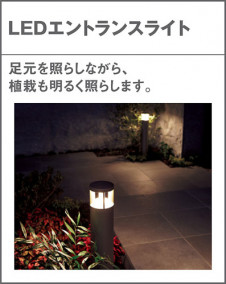 Panasonic LED �������ƥꥢ�������ȥɥ� XLGE7310LE1 �̿�4