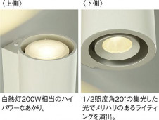 DAIKO ŵ LED ֥饱å DBK-40325Y