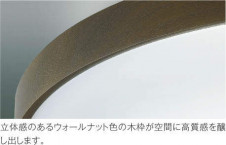 �������߾��� KOIZUMI LED ������� AH46986L �̿�2